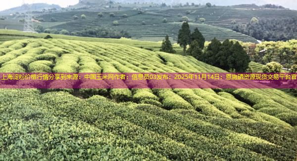上海淀粉价格行情分享到来源：中国玉米网作者：信息员03发布：2025年11月14日