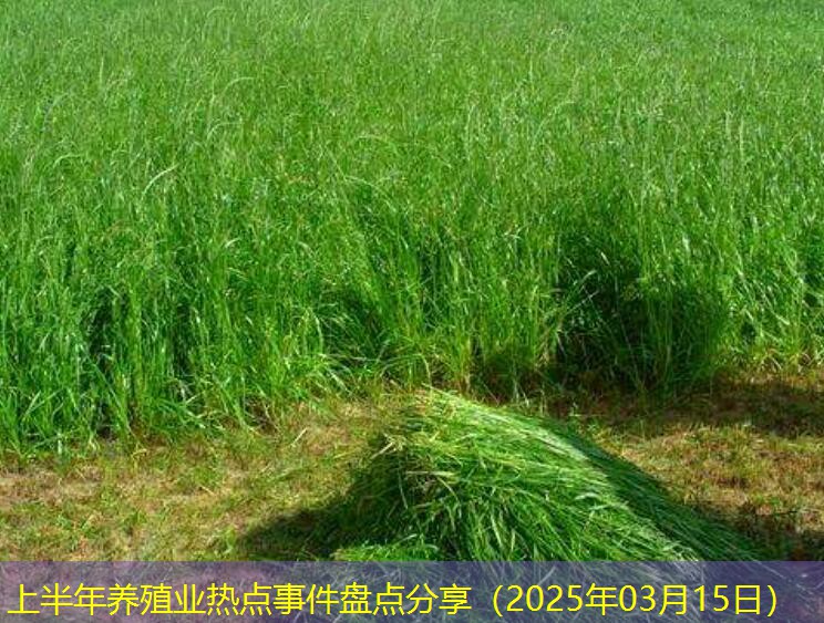 上半年养殖业热点事件盘点分享（2025年03月15日）