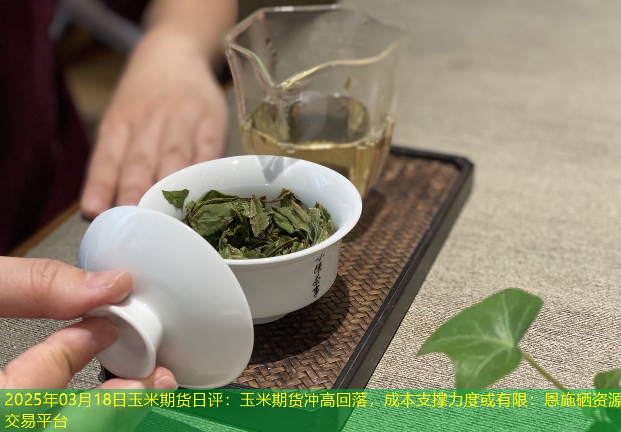 2025年03月18日玉米期货日评：玉米期货冲高回落，成本支撑力度或有限