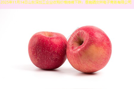 2025年11月14日山东深加工企业收购价格持续下跌