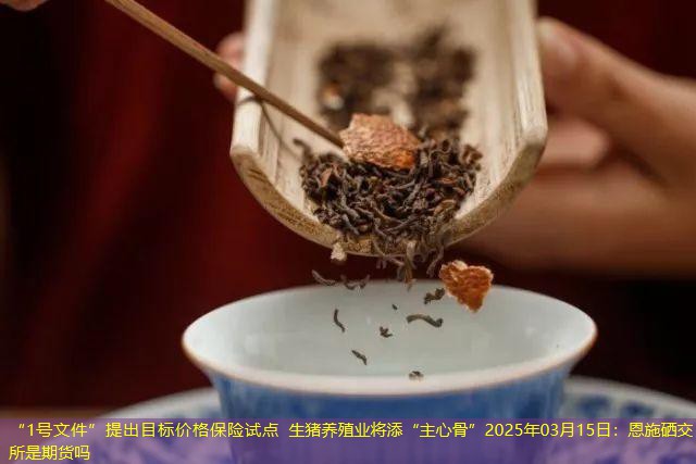 “1号文件”提出目标价格保险试点 生猪养殖业将添“主心骨”2025年03月15日