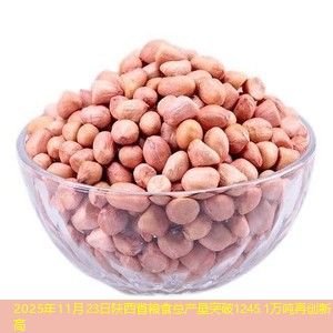 2025年11月23日陕西省粮食总产量突破1245.1万吨再创新高