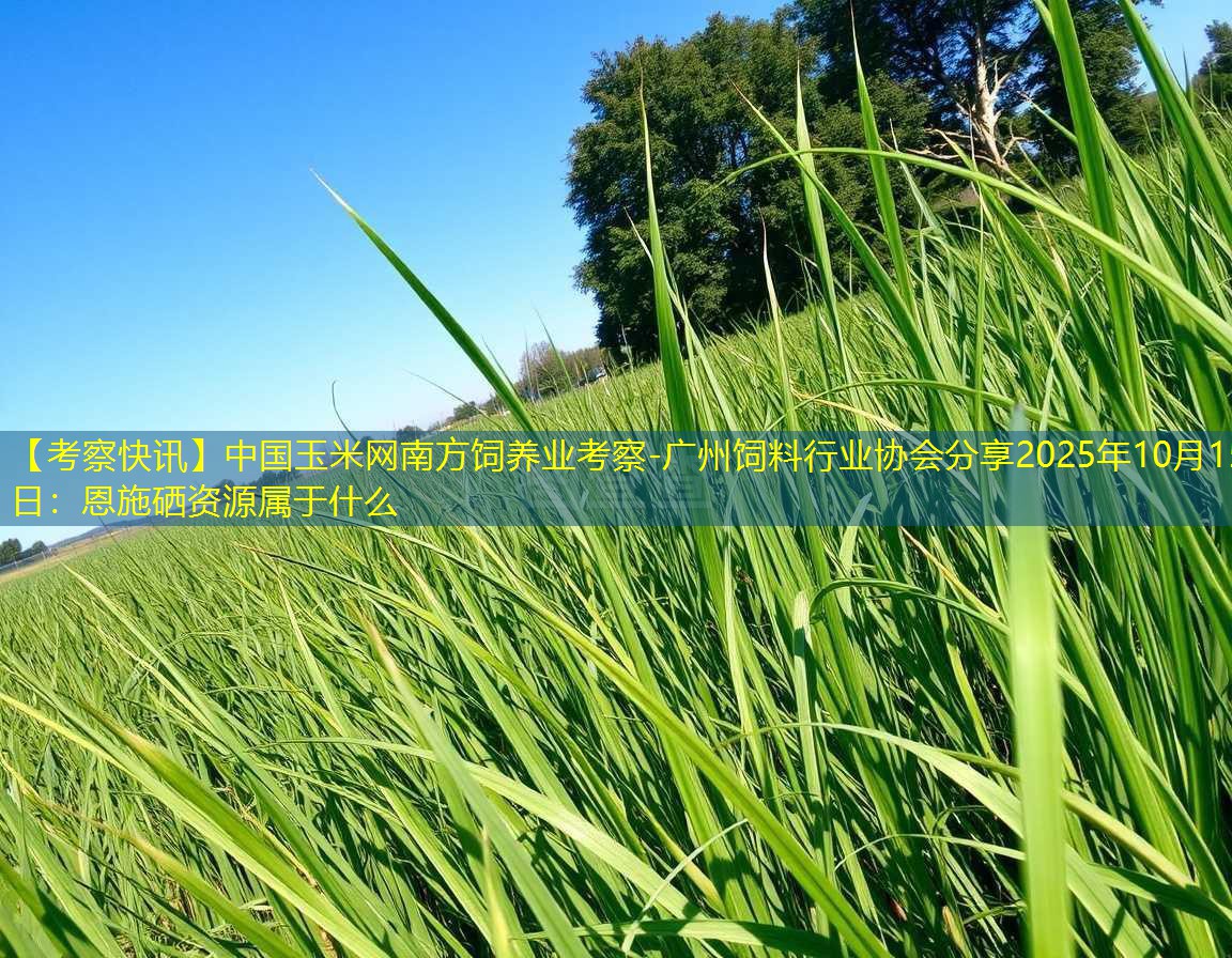 【考察快讯】中国玉米网南方饲养业考察-广州饲料行业协会分享2025年10月15日