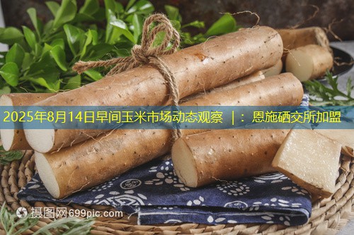 2025年8月14日早间玉米市场动态观察 ｜