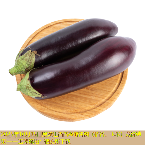 2025年10月15日黑龙江省省级储备粮（稻谷、玉米）竞价结果——玉米流拍