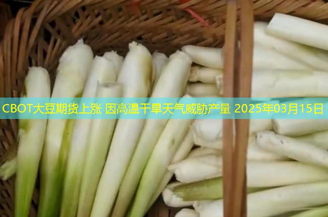 CBOT大豆期货上涨 因高温干旱天气威胁产量 2025年03月15日