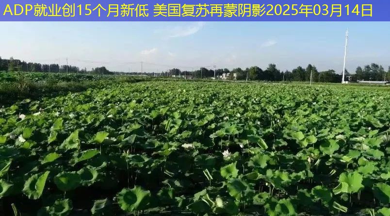 ADP就业创15个月新低 美国复苏再蒙阴影2025年03月14日