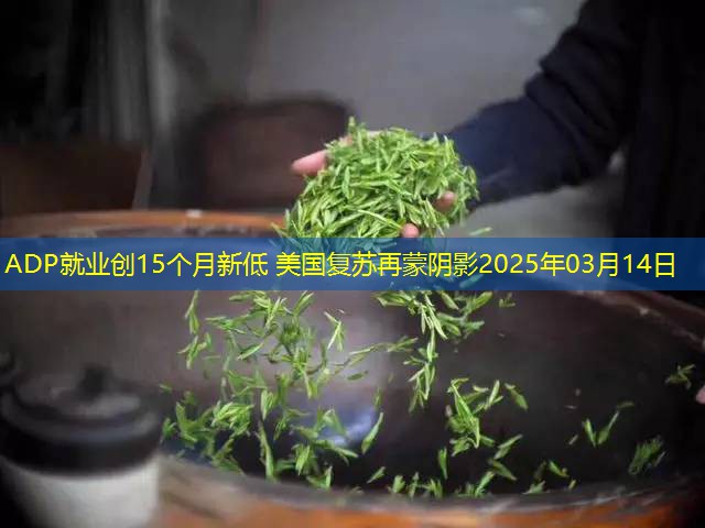 ADP就业创15个月新低 美国复苏再蒙阴影2025年03月14日