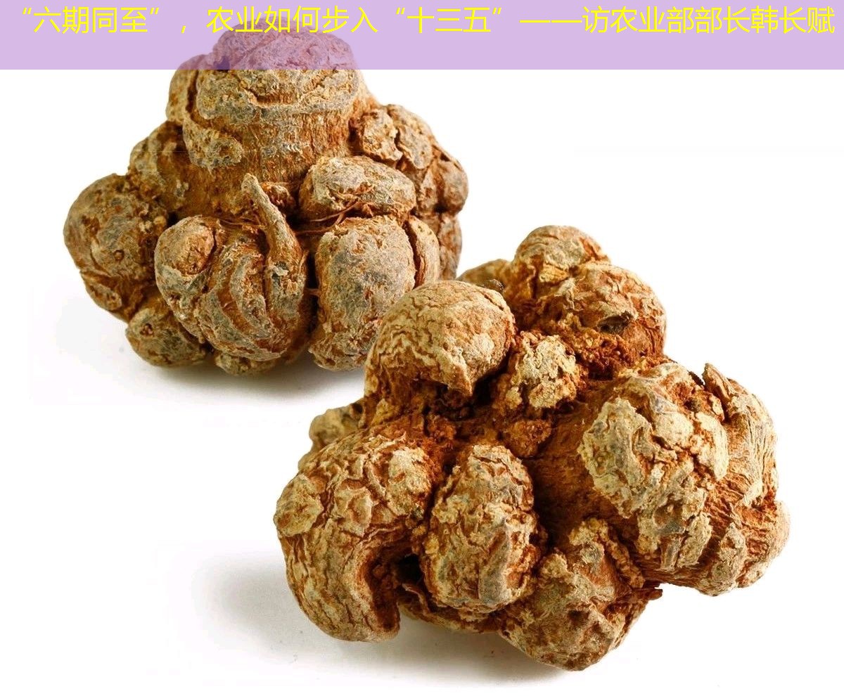 “六期同至”，农业如何步入“十三五”——访农业部部长韩长赋