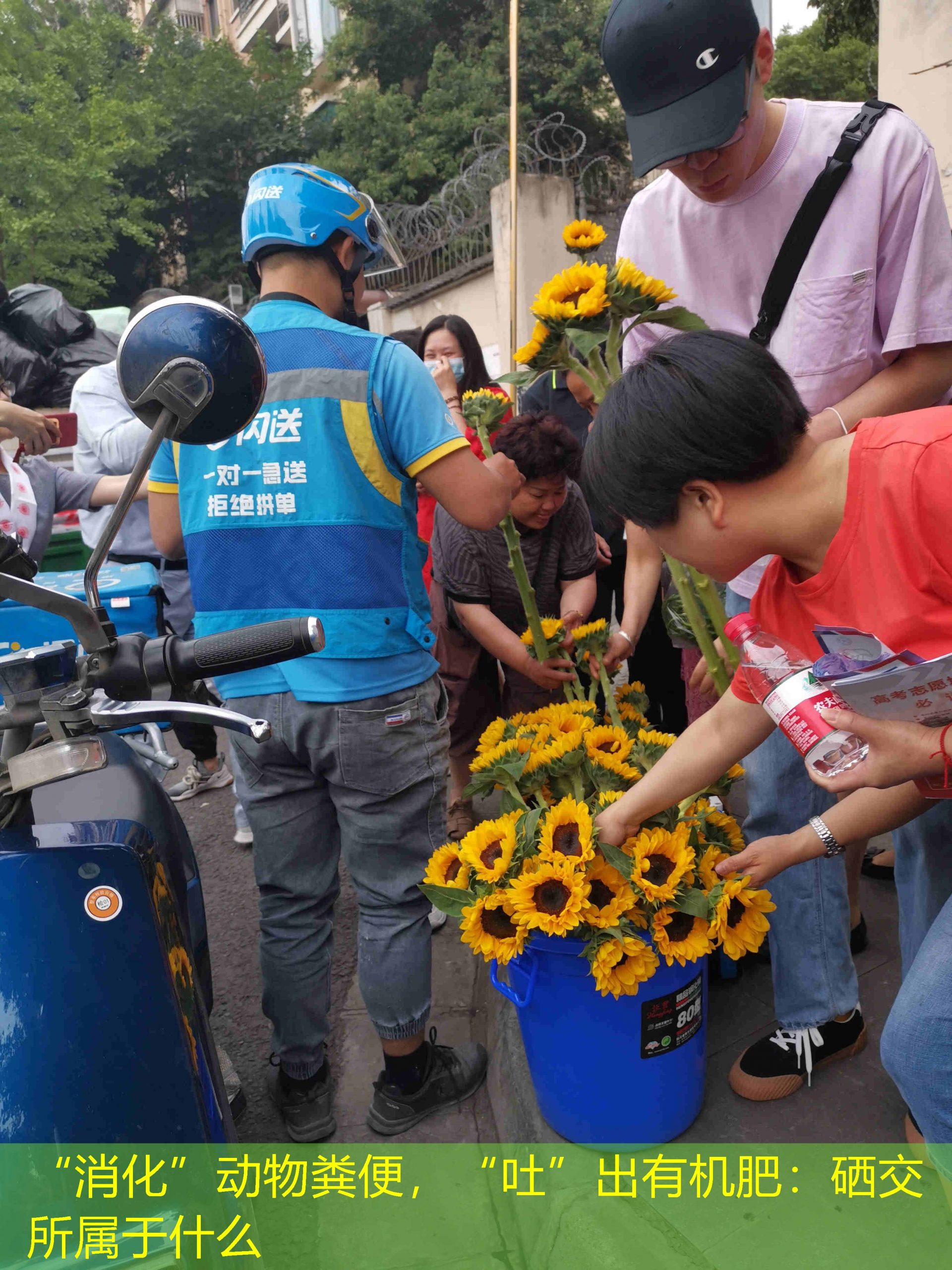 “消化”动物粪便，“吐”出有机肥