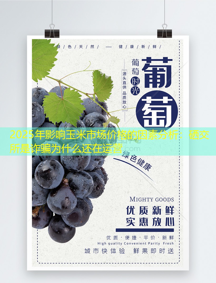 2025年影响玉米市场价格的因素分析