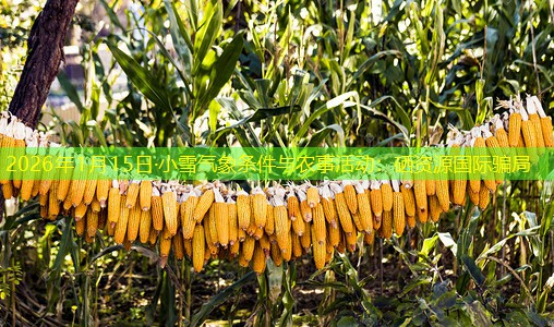 2026年1月15日·小雪气象条件与农事活动