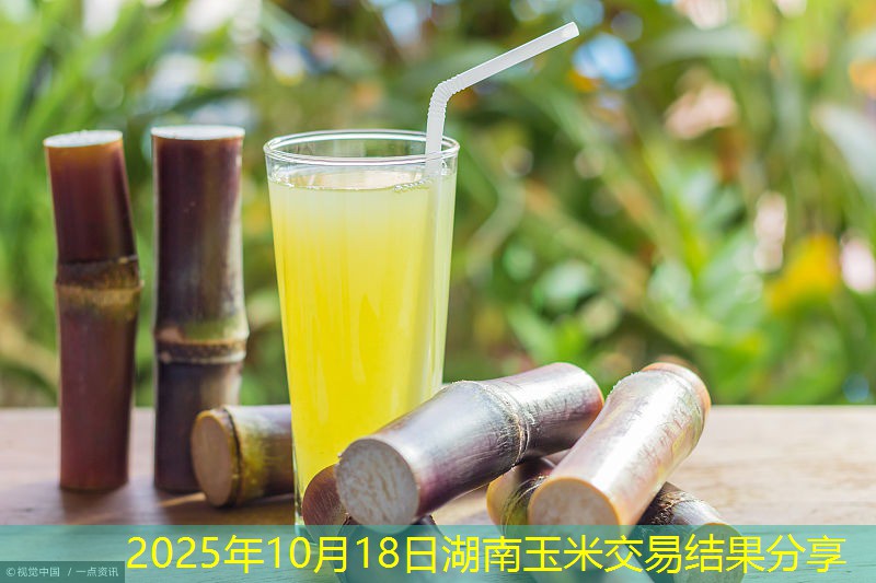 2025年10月18日湖南玉米交易结果分享