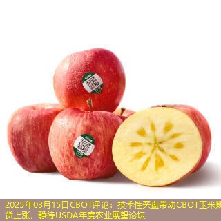 2025年03月15日CBOT评论：技术性买盘带动CBOT玉米期货上涨，静待USDA年度农业展望论坛