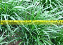 2025年03月15日鹏远淀粉分享到来源：中国玉米网鹏远淀粉分享到来源：中国玉米网