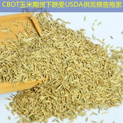 CBOT玉米期货下跌受USDA供需报告拖累