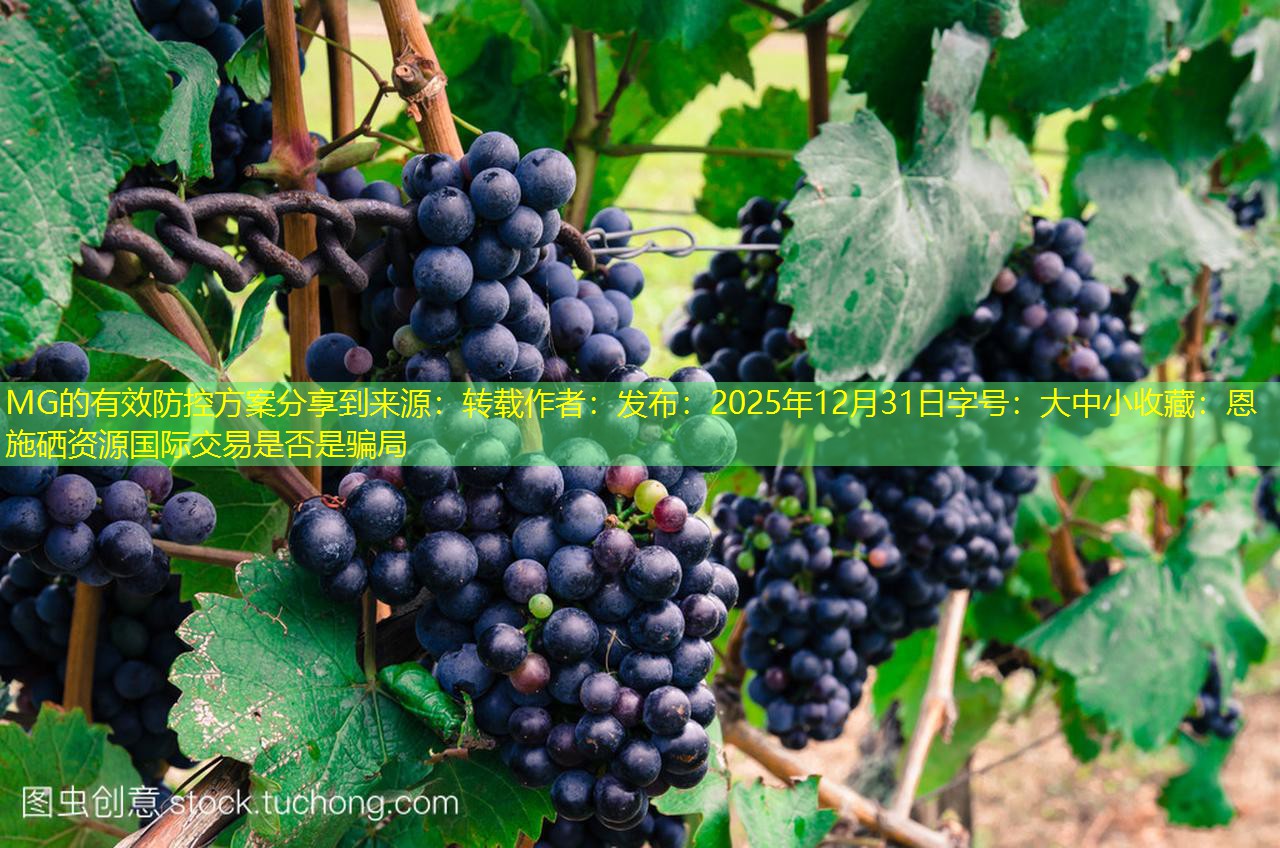 MG的有效防控方案分享到来源：转载作者：发布：2025年12月31日字号：大中小收藏