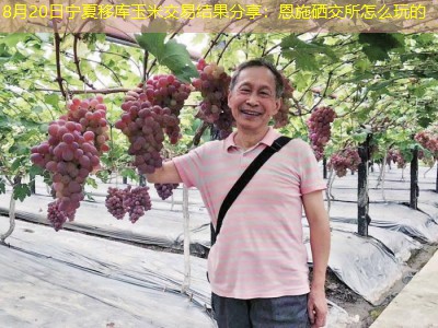 8月20日宁夏移库玉米交易结果分享