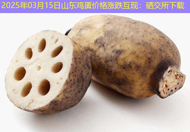 2025年03月15日山东鸡蛋价格涨跌互现