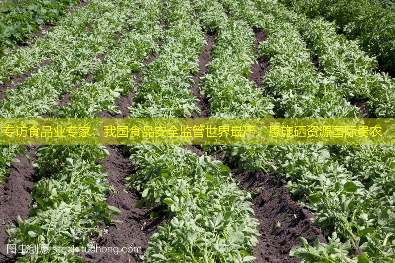 专访食品业专家：我国食品安全监管世界最严