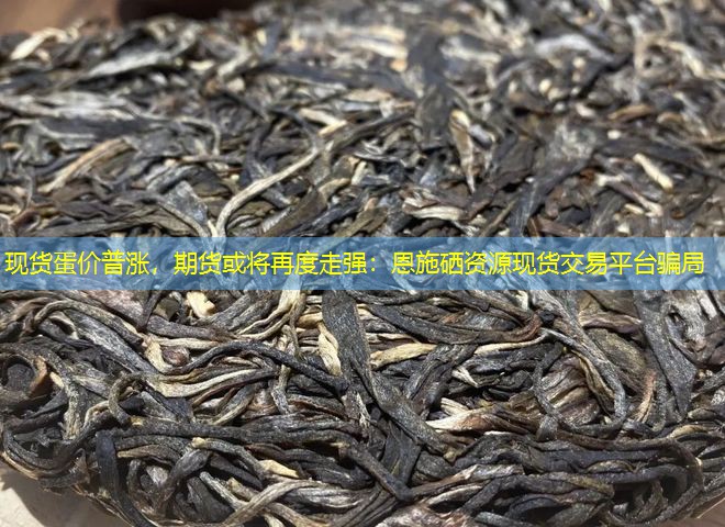 现货蛋价普涨，期货或将再度走强