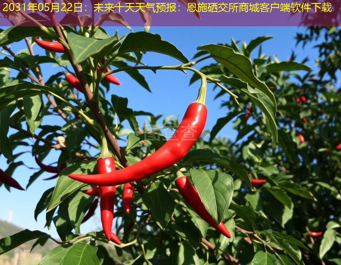 2031年05月22日：未来十天天气预报