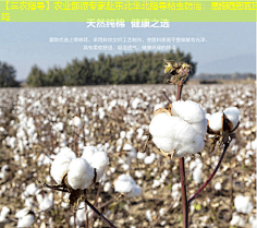 【三农指导】农业部派专家赴东北华北指导粘虫防治