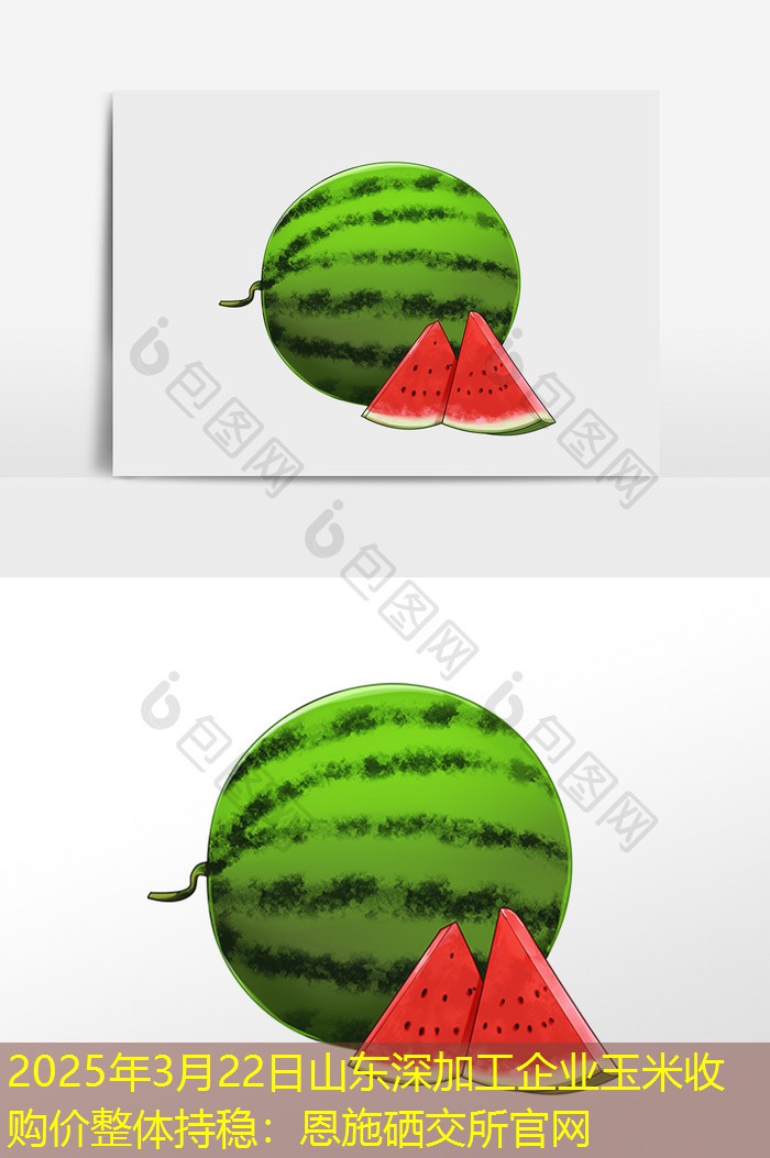 2025年3月22日山东深加工企业玉米收购价整体持稳