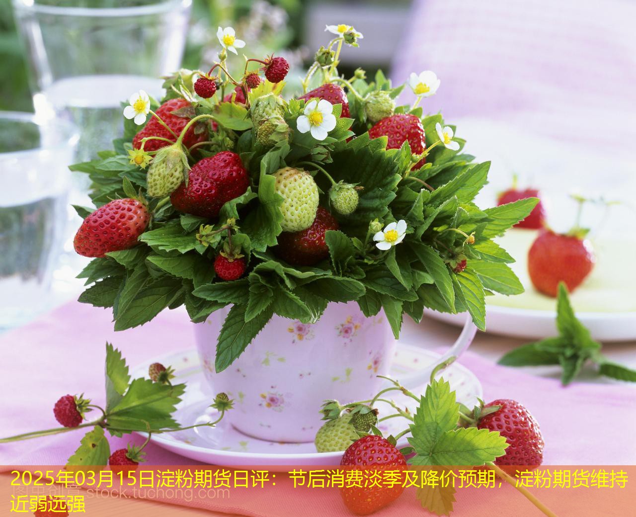 2025年03月15日淀粉期货日评：节后消费淡季及降价预期，淀粉期货维持近弱远强