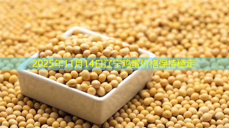 2025年11月14日辽宁鸡蛋价格保持稳定