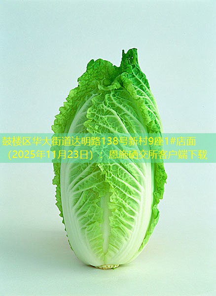 鼓楼区华大街道达明路138号新村9座1#店面（2025年11月23日）