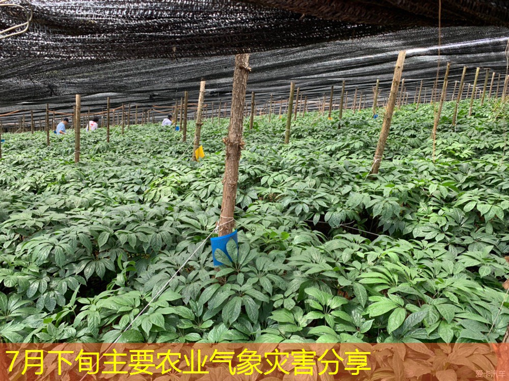 7月下旬主要农业气象灾害分享