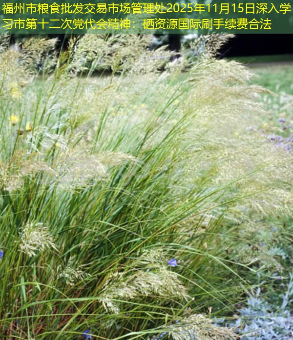 福州市粮食批发交易市场管理处2025年11月15日深入学习市第十二次党代会精神