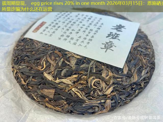蛋周期显现， egg price rises 20% in one month 2026年03月15日