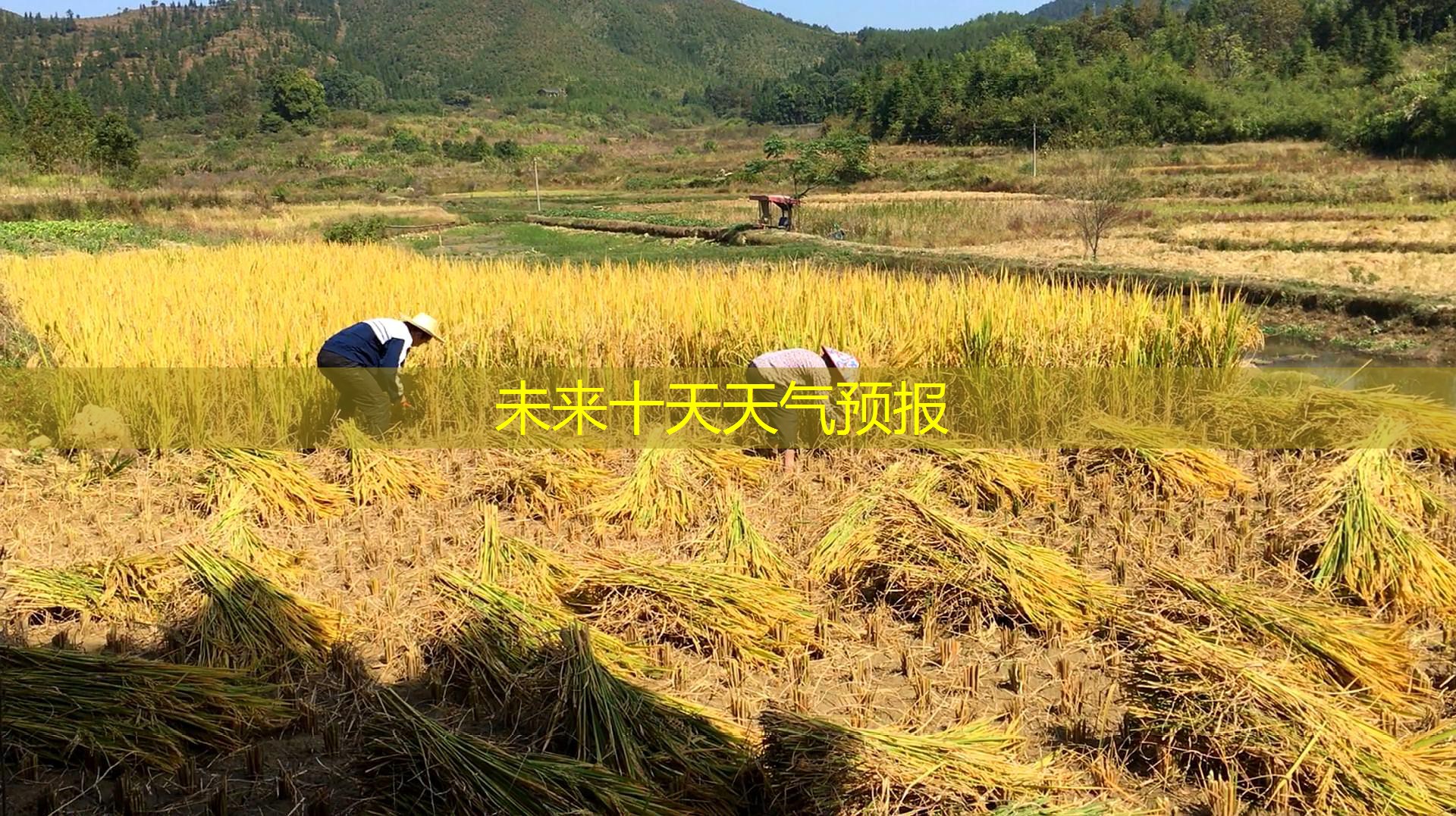 未来十天天气预报