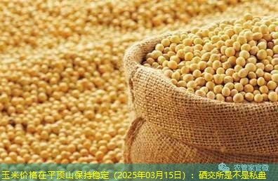 玉米价格在平顶山保持稳定（2025年03月15日）