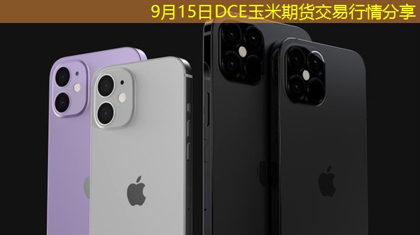 9月15日DCE玉米期货交易行情分享