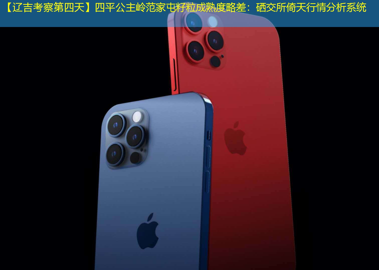 【辽吉考察第四天】四平公主岭范家屯籽粒成熟度略差