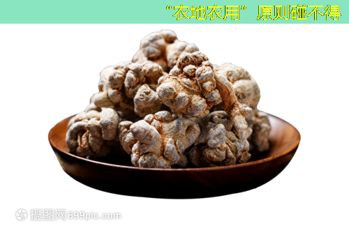 “农地农用”原则碰不得