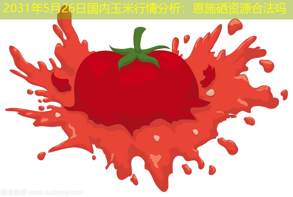 2031年5月26日国内玉米行情分析