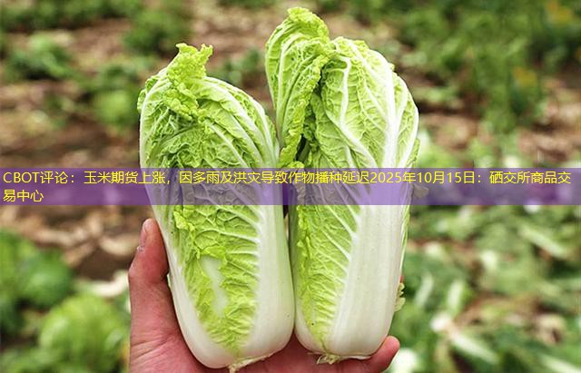 CBOT评论：玉米期货上涨，因多雨及洪灾导致作物播种延迟2025年10月15日