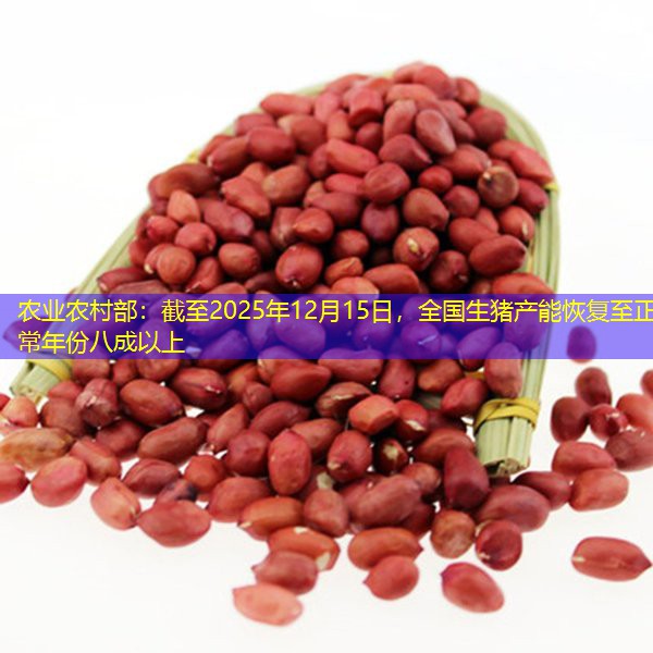 农业农村部：截至2025年12月15日，全国生猪产能恢复至正常年份八成以上