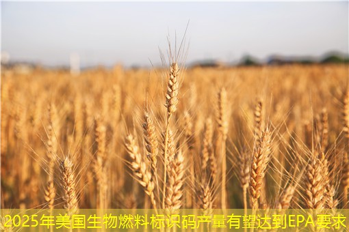 2025年美国生物燃料标识码产量有望达到EPA要求