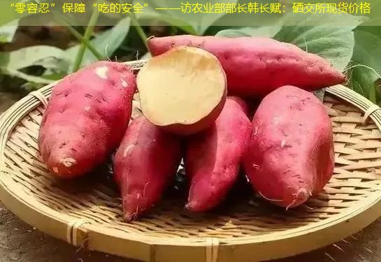 “零容忍”保障“吃的安全”——访农业部部长韩长赋