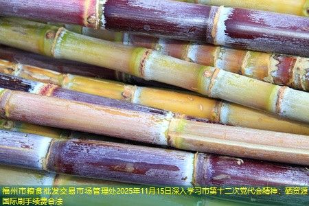 福州市粮食批发交易市场管理处2025年11月15日深入学习市第十二次党代会精神