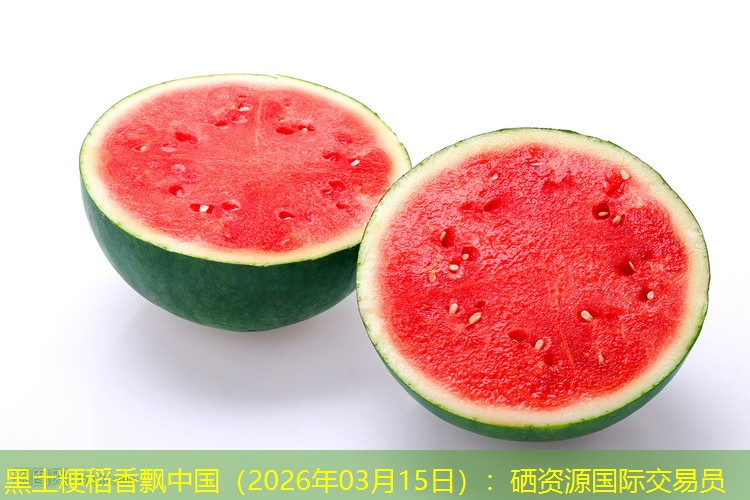 黑土粳稻香飘中国（2026年03月15日）