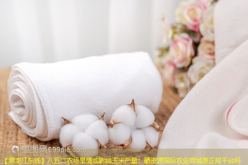 【黑龙江东线】八五二农场旱情或影响玉米产量