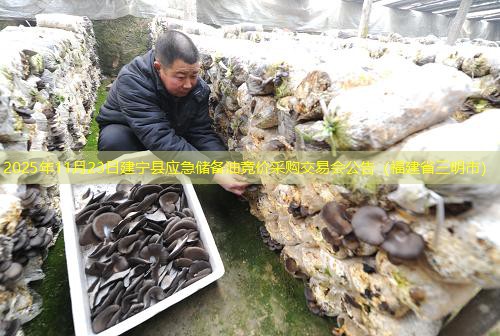 2025年11月23日建宁县应急储备油竞价采购交易会公告（福建省三明市）