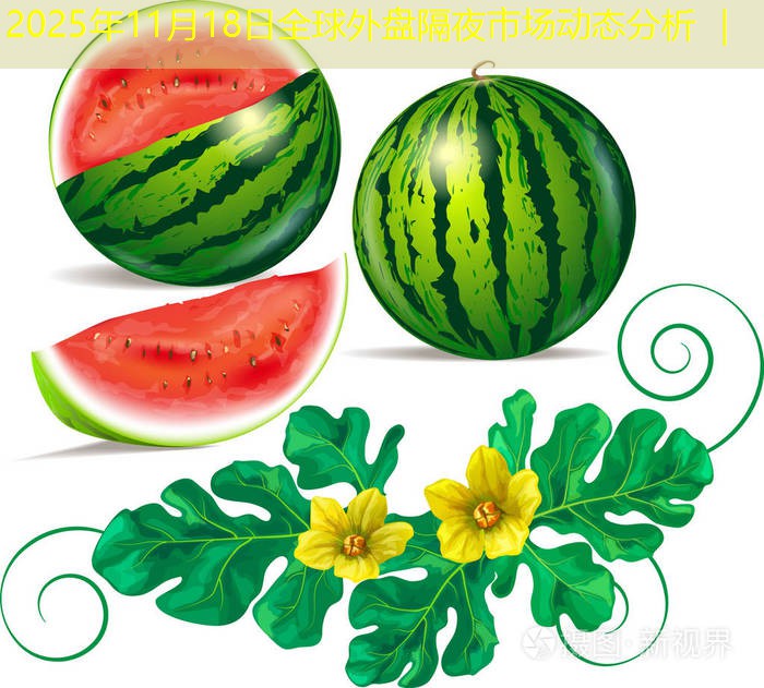 2025年11月18日全球外盘隔夜市场动态分析 ｜