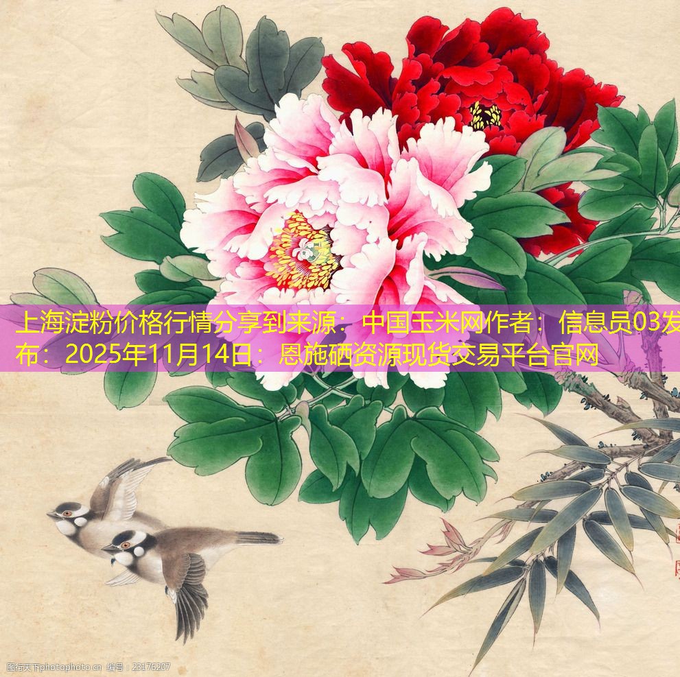 上海淀粉价格行情分享到来源：中国玉米网作者：信息员03发布：2025年11月14日